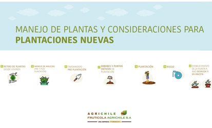 MANEJO DE PLANTAS Y CONSIDERACIONES PARA PLANTACIONES NUEVAS