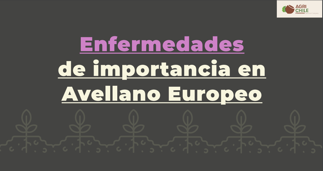 Conoce más sobre distintas enfermedades de importancia en el Avellano Europeo