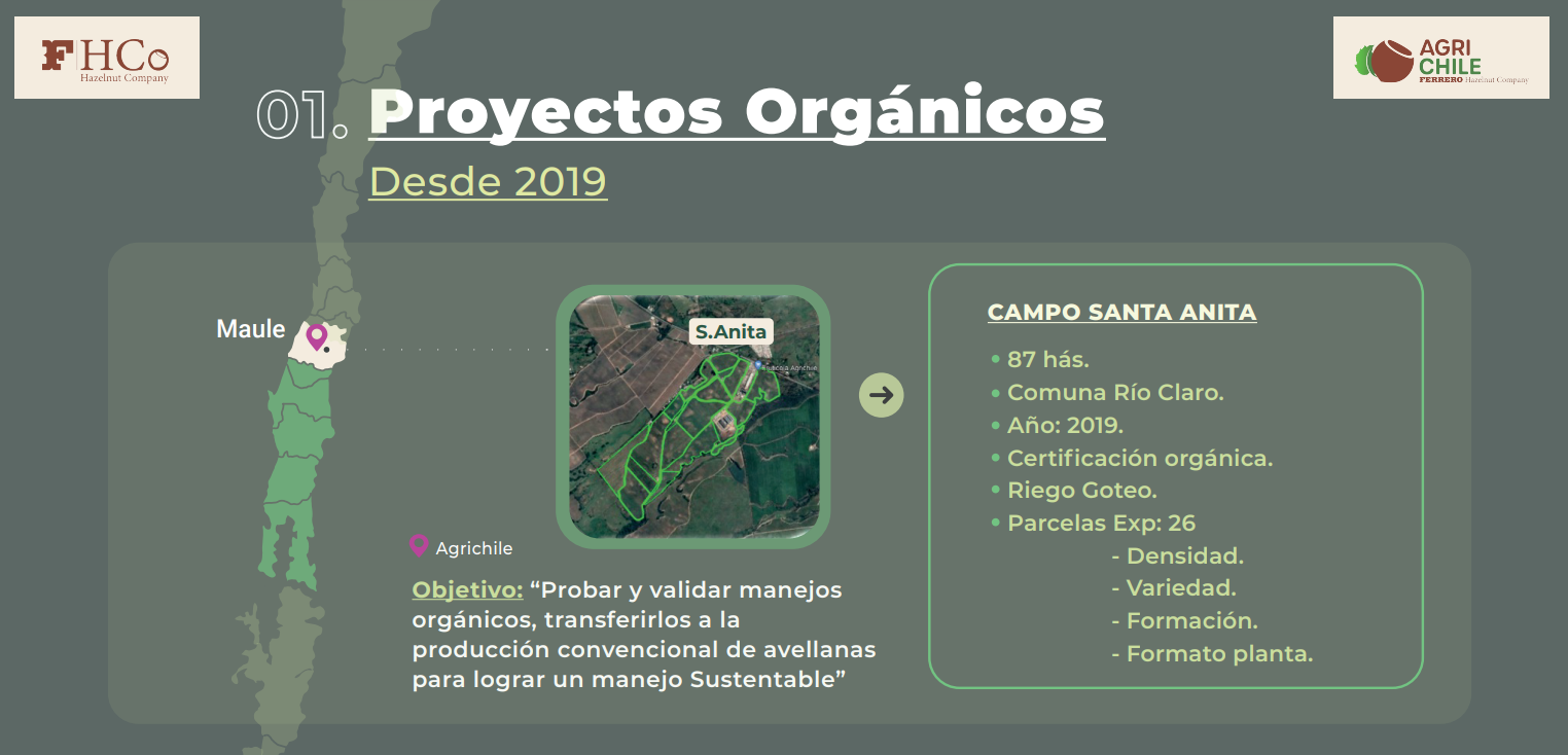 Revisa nuestras infografías sobre proyectos orgánicos y proyectos regenerativos