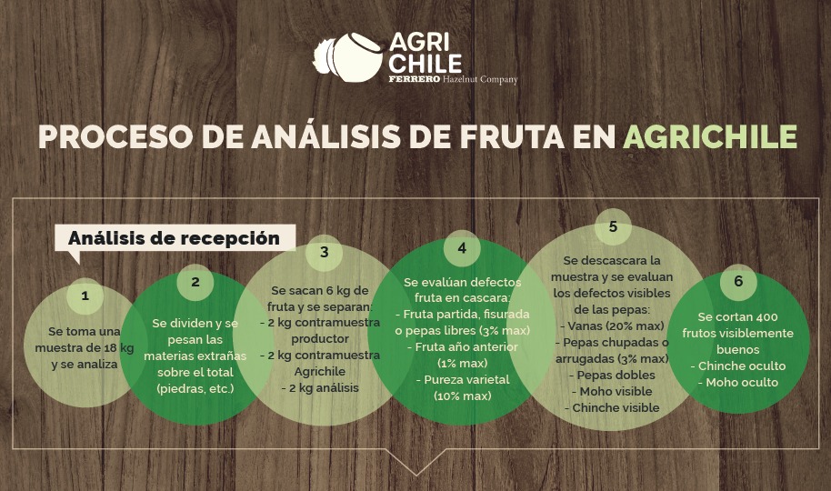 INFOGRAFÍA: Proceso de análisis de fruta en AgriChile