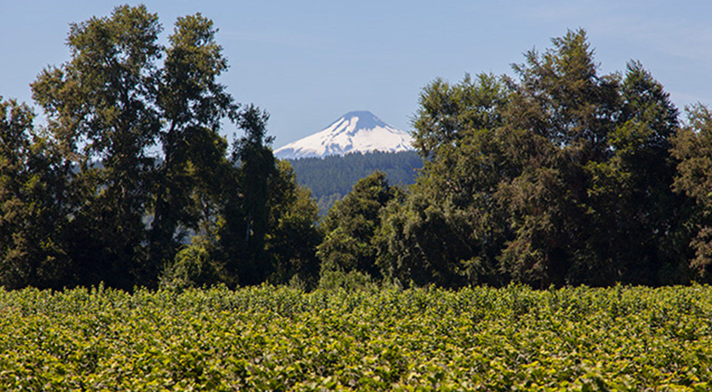 Región de La Araucanía