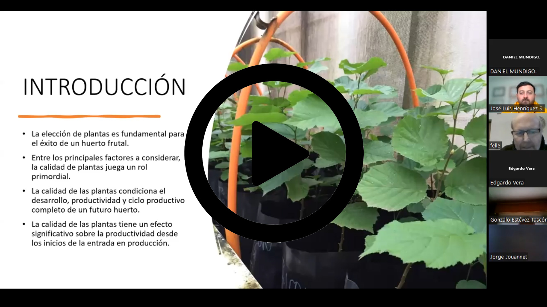 AGRICHILE – FERRERO HCO REALIZAN WEBINAR SOBRE PODA, PREPLANTACIÓN Y PLANTACIÓN