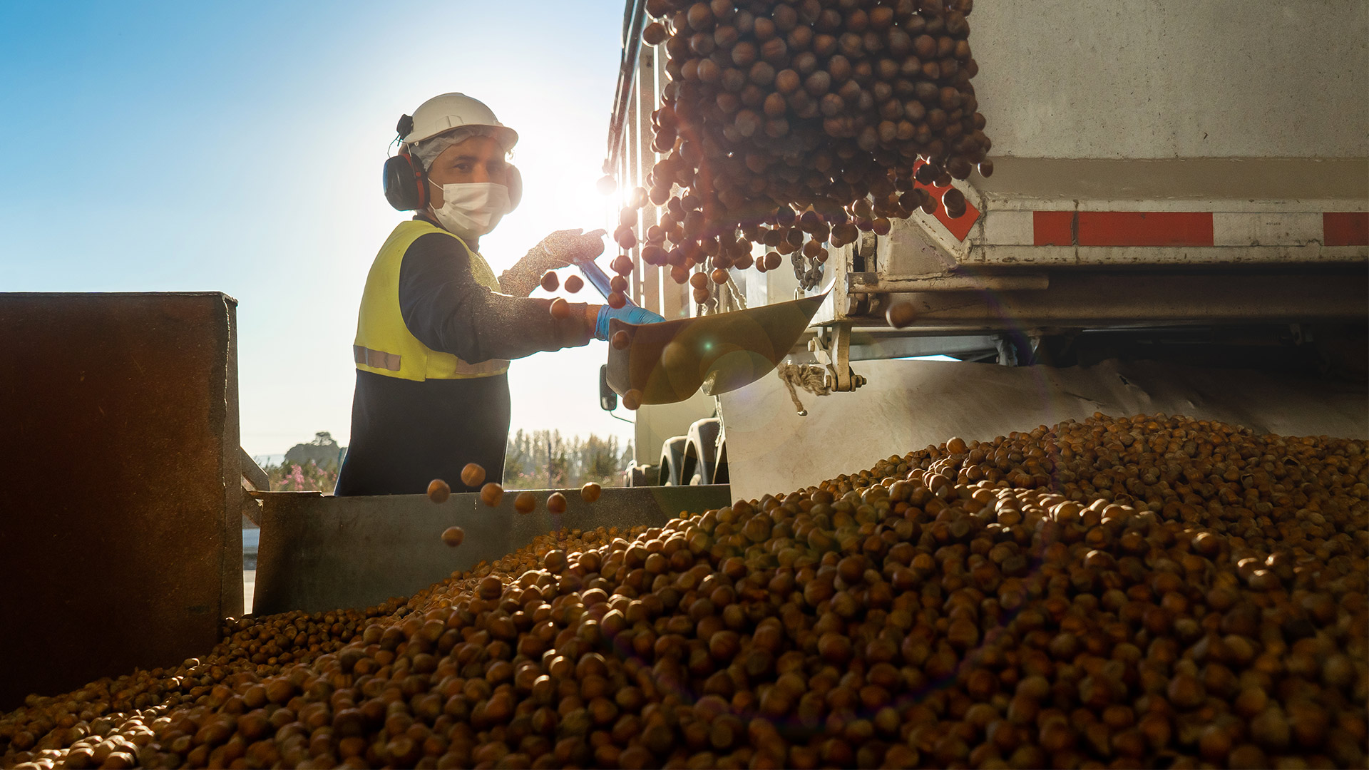 Entrevista en Portal Frutícola: ¿Qué oportunidades y desafíos tiene el avellano europeo en Chile?