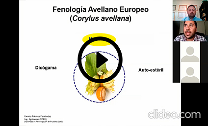 VIDEO PDP: Agrichile realiza “Taller: Factores a considerar en la elección del sitio de plantación y establecimiento de huertos de Avellano Europeo”