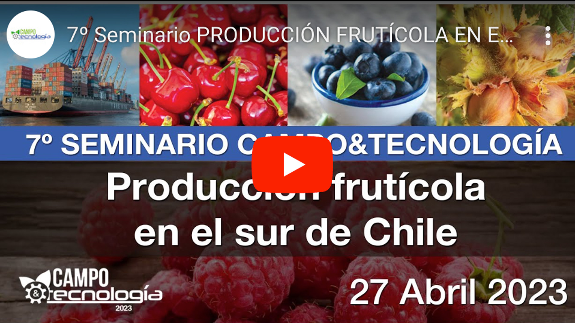 VIDEO: Agrichile participa en el 7mo Seminario “La Producción Frutícola en el sur de Chile: Desafíos del Mercado en un Escenario de Mayores Exigencias”