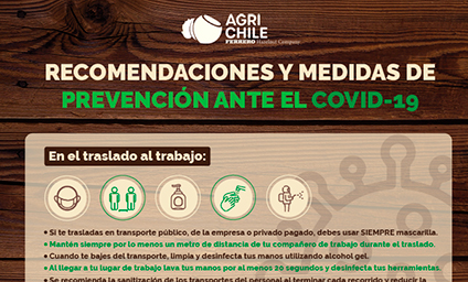 INFOGRAFÍA Y VIDEO: Agrichile realiza webinar “Medidas preventivas en la producción de avellana en tiempos de pandemia”