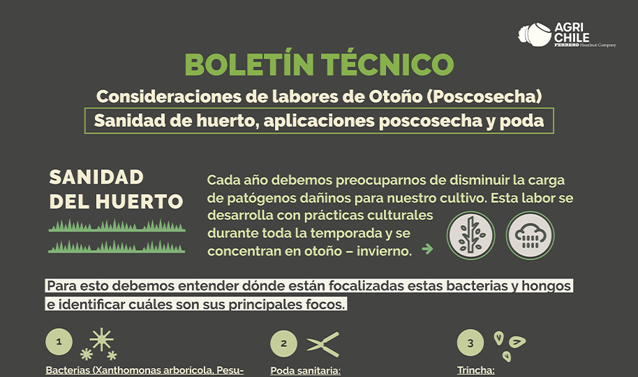 INFOGRAFÍA: Consideraciones de labores de Otoño (Poscosecha): Sanidad de huerto, aplicaciones poscosecha y poda