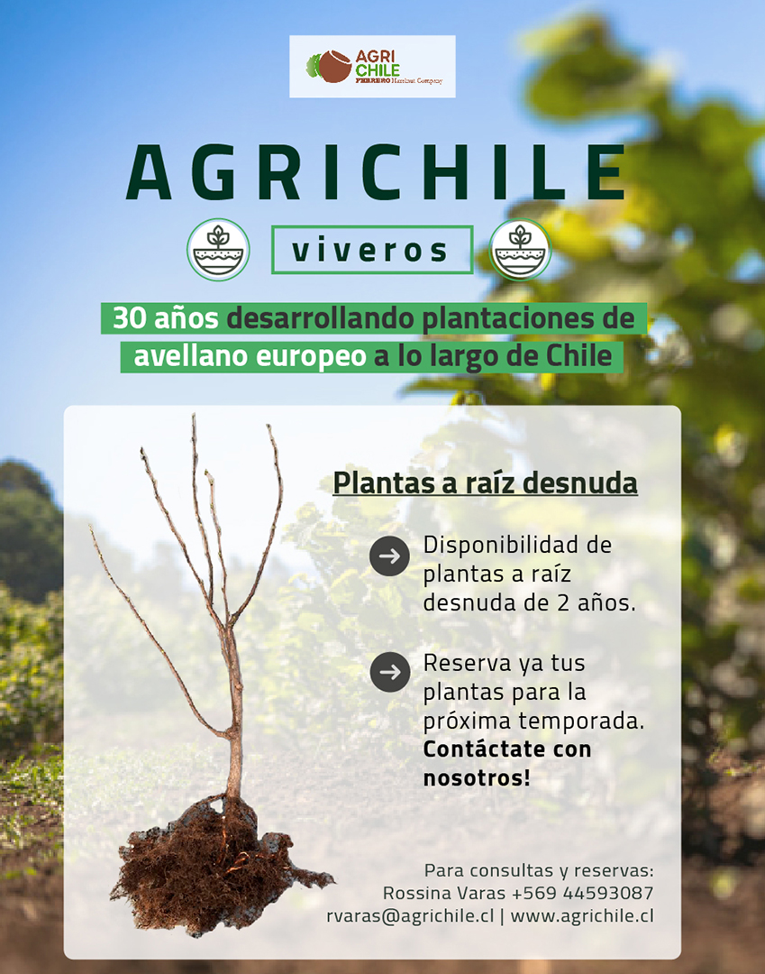 AGRICHILE INICIÓ EL PROCESO DE RESERVA DE PLANTAS PARA LA TEMPORADA 2023