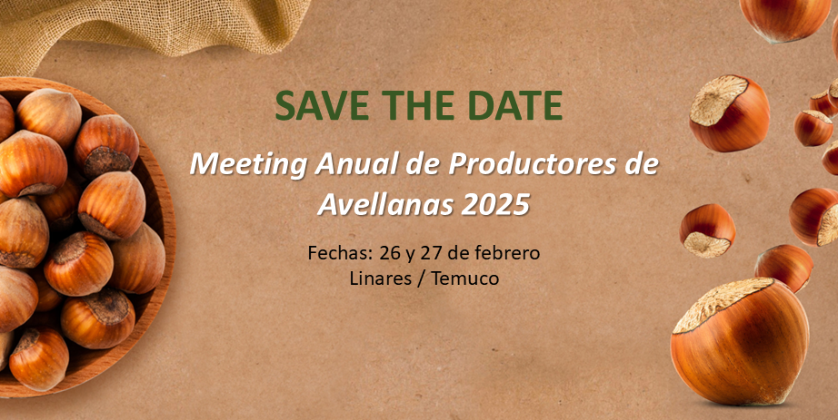 Meeting anual 2025