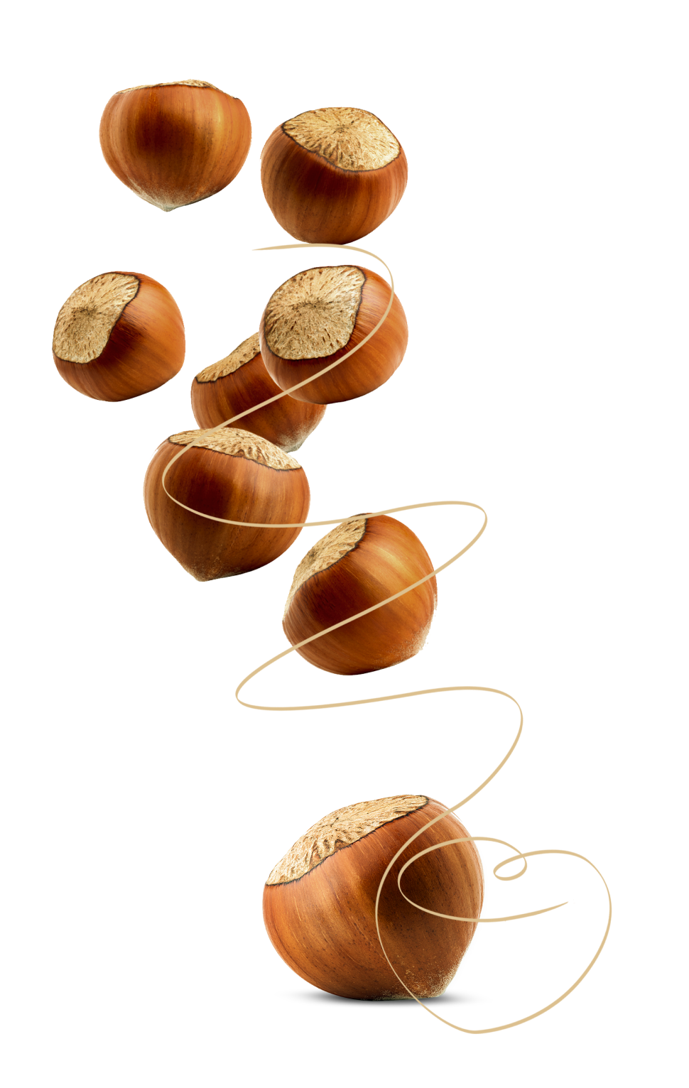 hazelnut